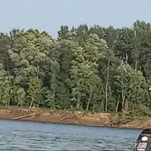 Meet your Posher, Amelia